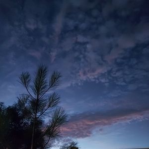 Teen and Women's clothing. Ocassional young men's items.